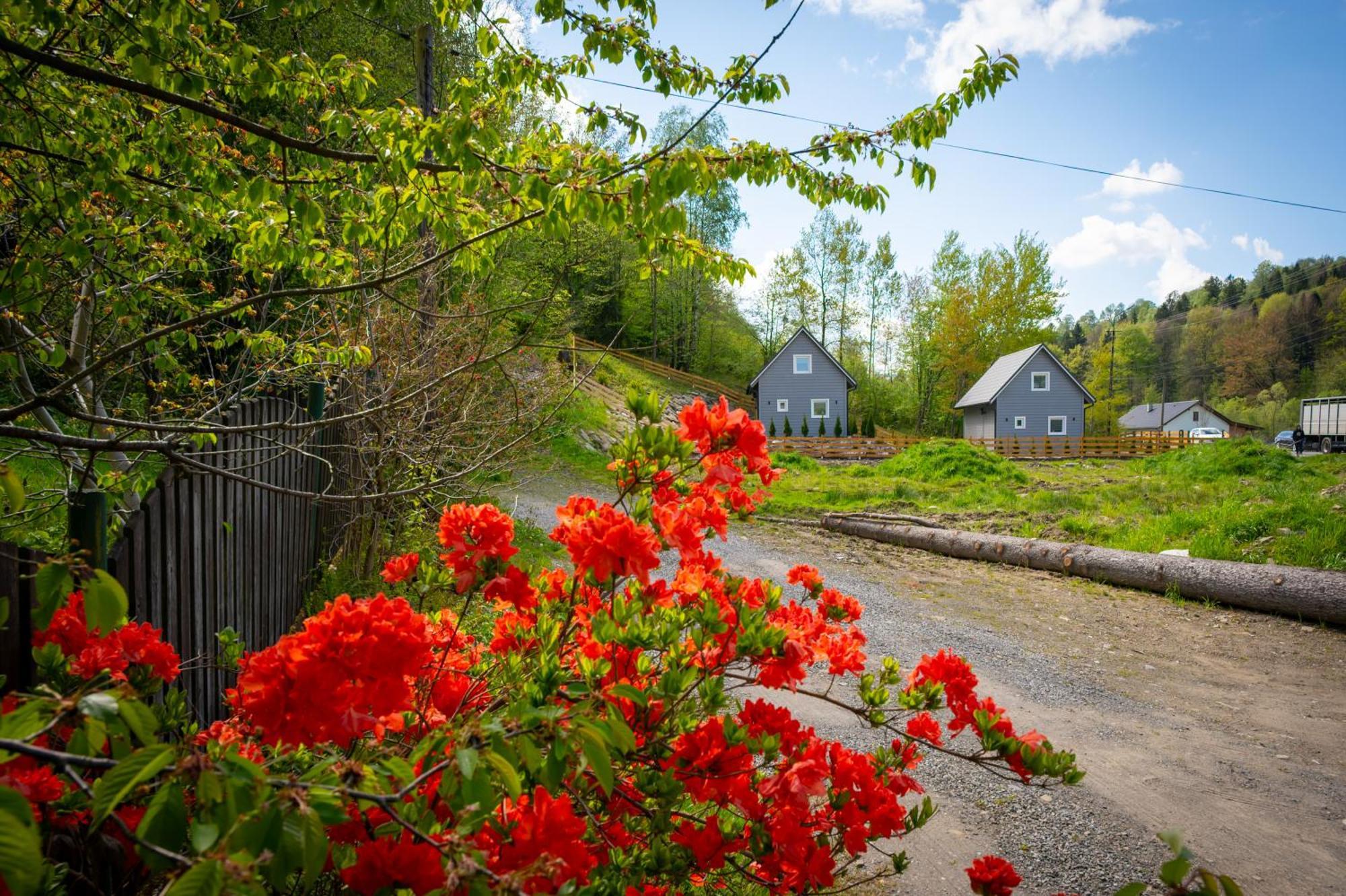 U Sosny - Nowoczesne Na Wylacznosc, Spokojna Okolica Blisko Lasu I Szlaku, 1,2 Km Od Centrum Brennej Holiday home